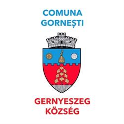 Primăria comunei Gorneşti