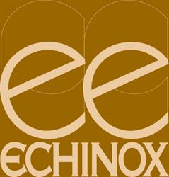 Editura Echinox