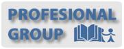 Profesional Security Division