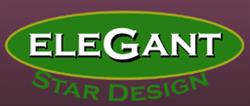Elegant star design