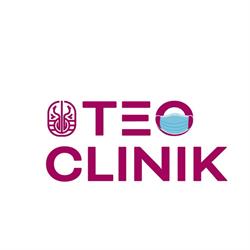 S.c. Teoclinik S.r.l