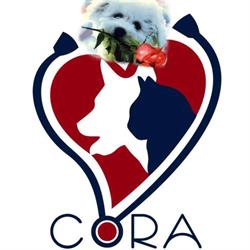 Cora vetconsult