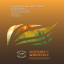 Brosura Agro Bio Brichet Energy Solutions