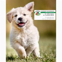 Family Vet Plus
