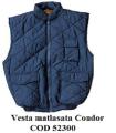 Vesta Matlasata CONDOR