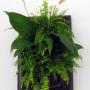 Tablou vegetal
