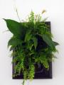 Tablou Vegetal