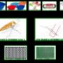 IMAGINI PRODUSE