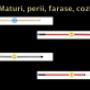IMAGINI PRODUSE