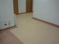 Covor PVC