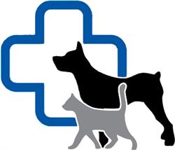 Clinica Veterinara Allvet