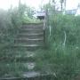 scari spre gradina de vara