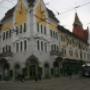 Tamplarie Lemn Stratificat - Timisoara