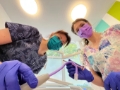 Consult Stomatologic la Spring Dental