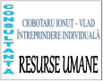 Ciobotaru Ionut- Vlad Intreprindere Individuala