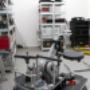 Dolly F2