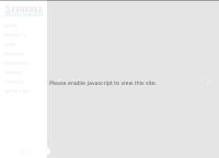 Website Cinesyl