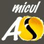 TENNIS CLUB MICUL AS IASI