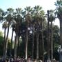Atena - Parcul Regal