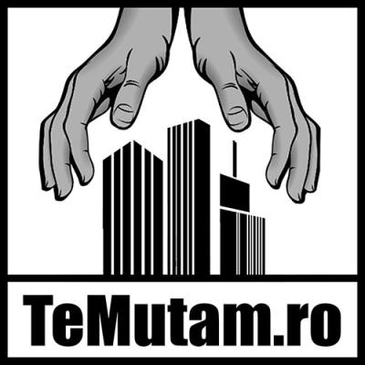 Mutari-mobilier-firme
