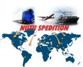 Case expeditii, transport si logistica