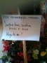 Glafirescu Carmen Persoana Fizica Autorizata