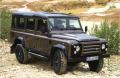 Defender
