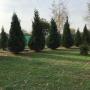 gradina