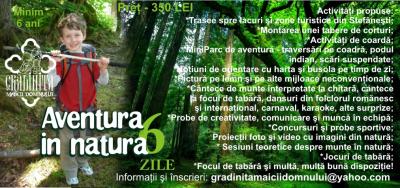 Tabara-vara-2014