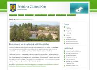 Website Primăria Călineşti-Oaş