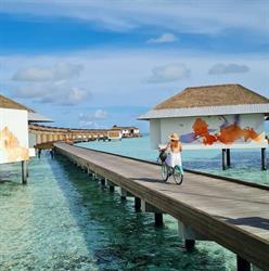 Emma Holidays SRL TULCEA