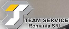 Team Service
