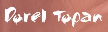 Dorel Topan