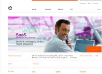 Website Software Development & Consulting