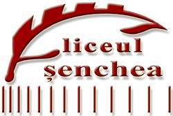 LICEUL TEHNOLOGIC Dr. IOAN ŞENCHEA FĂGĂRAŞ