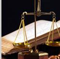 Avocat Dulică Nicoleta
