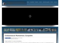 Ciobanescul Romanesc Carpatin