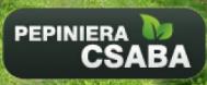 Pepiniera Csaba