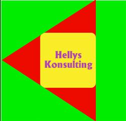 S.c Hellys Konsulting S.r.l.
