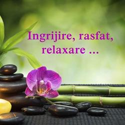 Body Therapy Tulcea