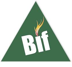 SC Bio Fuel Energy SRL