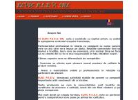 SC Elvic P.s.e.v. SRL