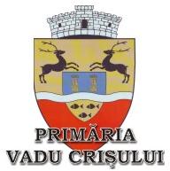 Primaria Vadu crisului