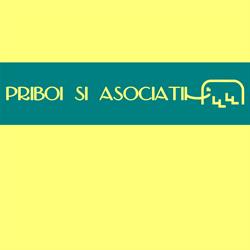 Priboi si Asociatii - Despăgubiri accident rutier