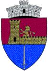 primaria berceni