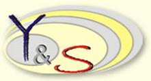 SC YanSar New Business SRL