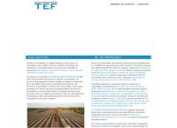 Website Tef Trans Expedition Feroviar SRL Cluj