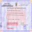 Certificat de inregistrare
