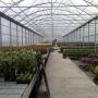 interior sera