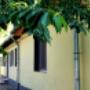 locatie after school